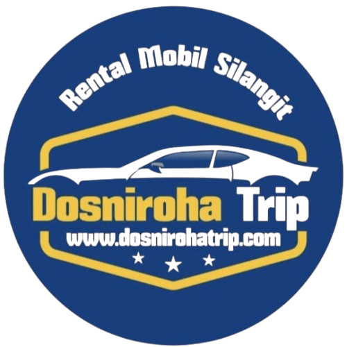 Logo Dosniroha Trip